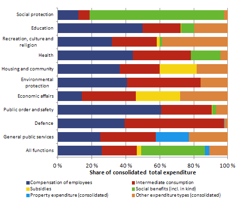 Figure 2. Share of expenditure types of consolidated total general government expenditure by function in 2011