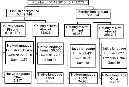 Appendix figure 1. Origin, country of birth and language of the population 31.12.2013
